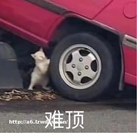 手游不好做了?32款新游全部凉凉,一款武侠还在联动星爷名作