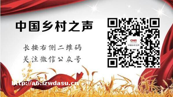 够了！被迫公媳互动、被丢入水里？低俗闹婚何时休？养成