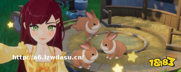 星砂岛BOBO的喜好礼物是什么 星砂岛BOBO的喜好礼物介绍