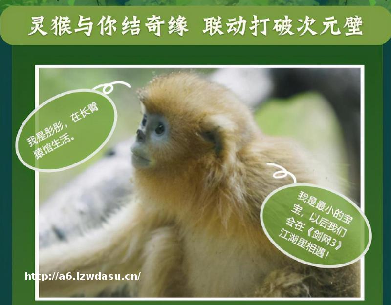 剑网3玩家有多会玩?那个重建九寨沟的游戏,把金丝猴送回了家