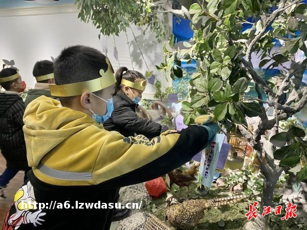 闯关游戏、主题游园、感受冬奥，小学生的期末检测也能很好玩!