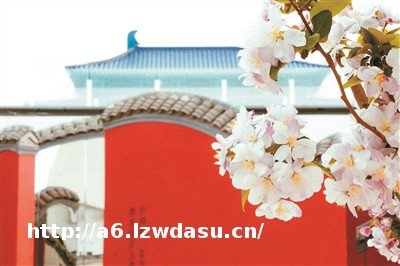 《只有红楼梦》文旅演艺不只是旅游附属品