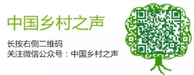 当心这些所谓赚钱项目是陷阱!