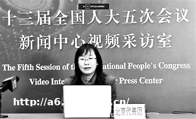 全国人大北京团代表走进视频采访室献计进言教程