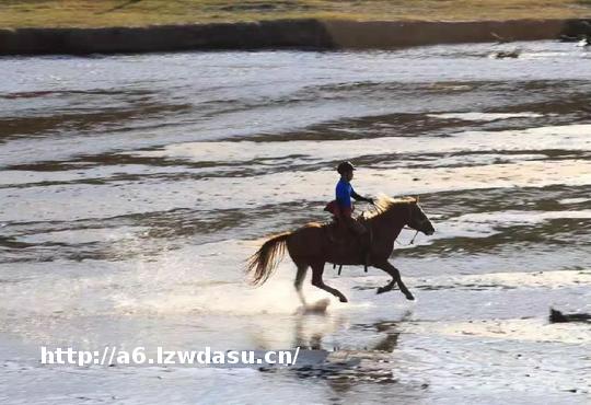 股市“丛林法则”