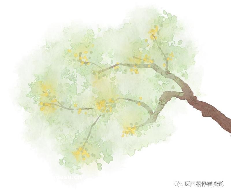 “房颤杀手锏”——外科迷宫手术