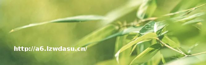 关注中国传统筷子的秘密