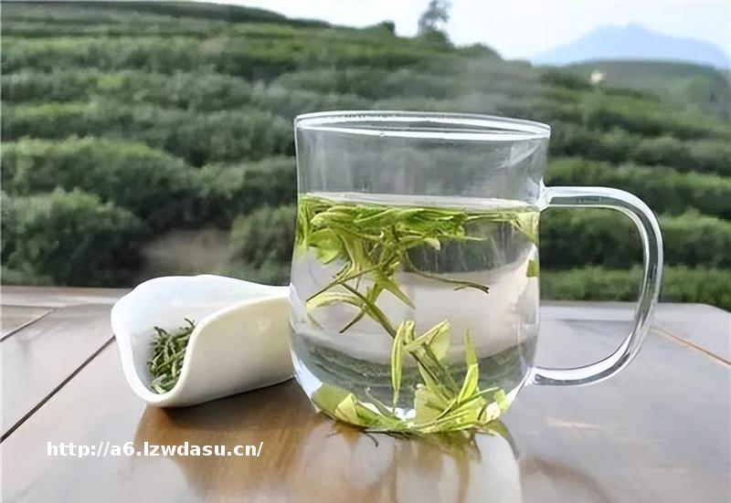 六安往事（21）天下第一六安茶思路