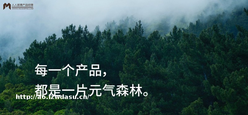 12000字解读元气森林：套利与降维的游戏