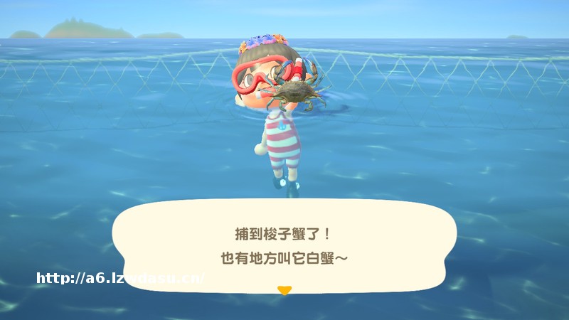 周末玩什么：去动森里潜水，收集多样的海洋生物吧