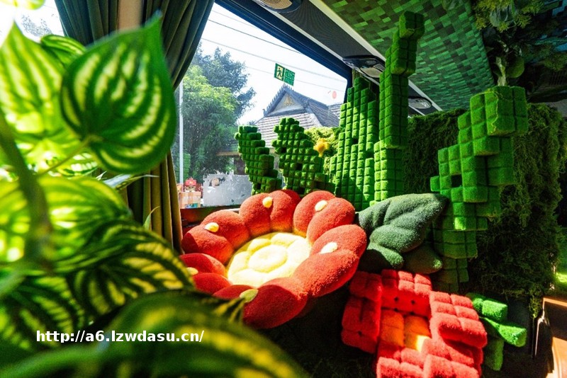 “雨林之心号”开通，滴滴联手客运企业提升文旅体验