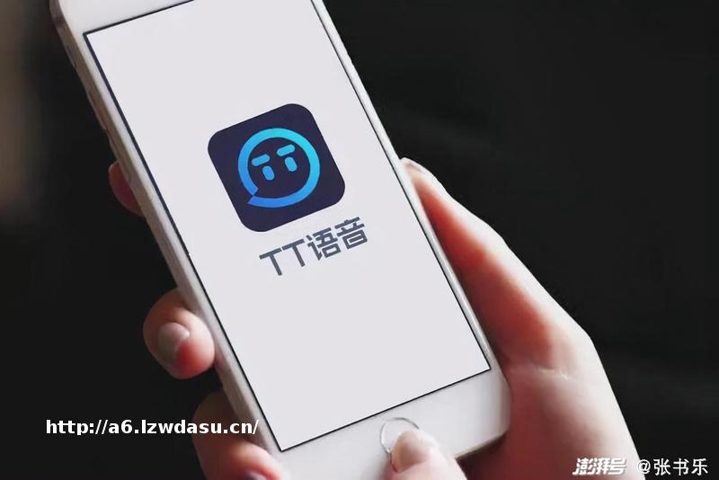 付费用户4成是女性，游戏语音社交，蹭风口流血上市