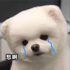 玩游戏这件事，爸妈不听我说怎么办？