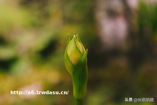 当看病、出行变成闯关游戏，我们拿什么守护他们的尊严？