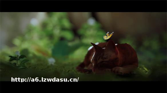 《迷失》评测:你想在做一只可爱猫猫吗?