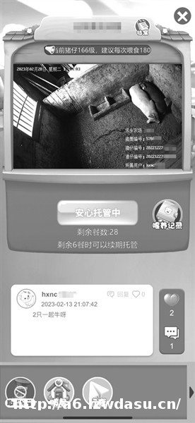 投入五六千元 七八个月后直接分肉！朋友喊我一起去“云养猪” 靠谱吗？阵容