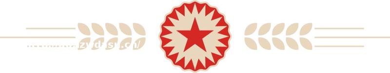 重拾身边 ｜ 甘鹏祺：以路人与龙套的名义，在橙光游戏的世界里相逢