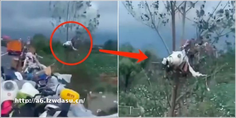 江苏连云港出现龙卷风灾害 遇到龙卷风该如何防御？