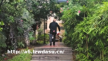 女校长诈骗5000万元 打游戏充值花了3400余万元