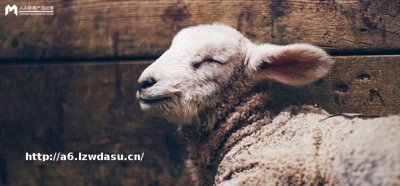 “羊了个羊”爆红一周：难度天花板、互联网流量新贵、骗子游戏攻略