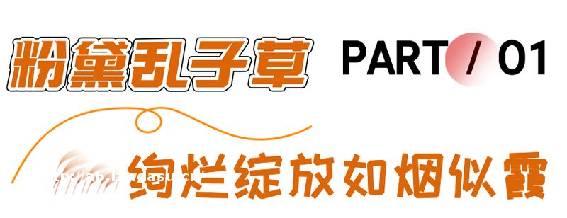 十月好去处丨来烟台这样玩→ — 新京报