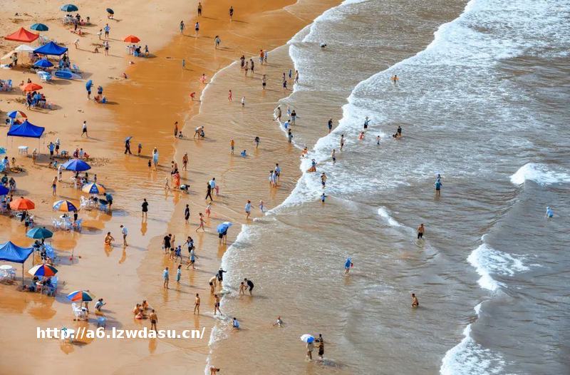 263万人次！苍南“宝藏沙滩”，太火了！
