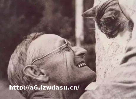 黑塞：童话是揭示生命永恒意义的最佳形式 — 新京报