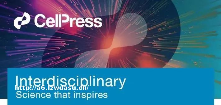 不同游戏类型对不同玩家专注度和记忆力的长期影响 | Cell Press论文精选养成