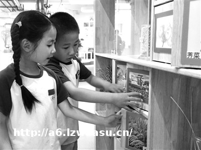 聚焦幼儿“三性” 创设互动环境