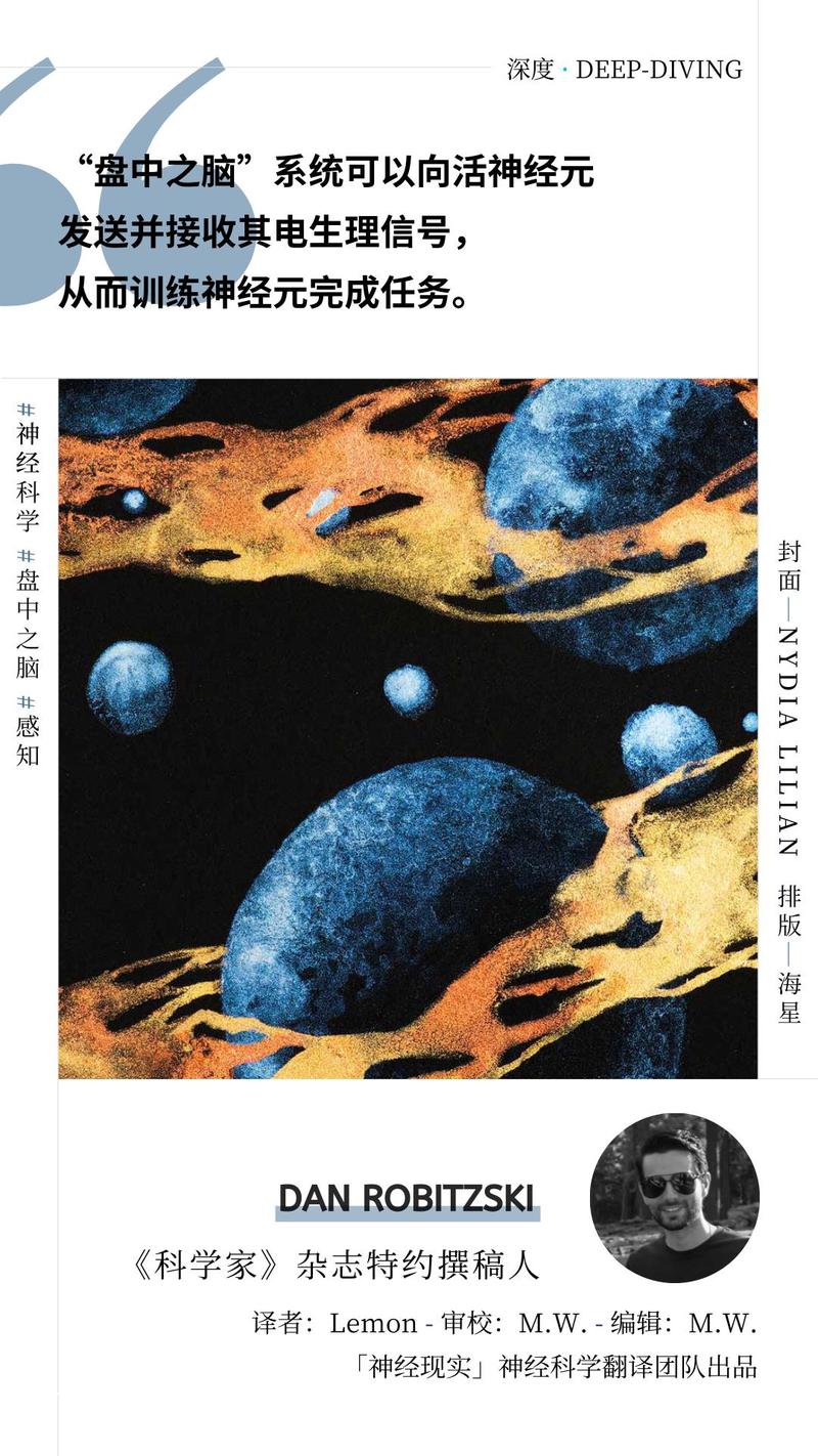 盘子里的神经元也会玩电子游戏?