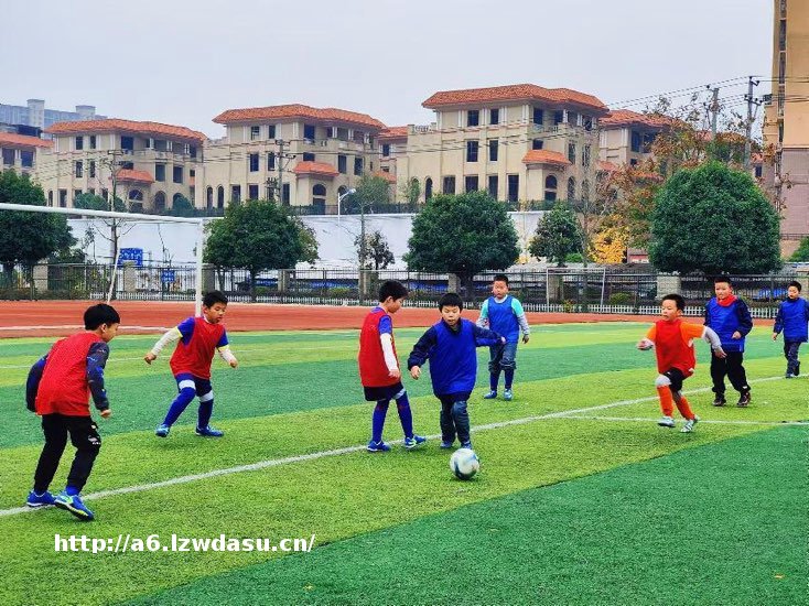 湖南邵东：全员“大体育”开启快乐童年新玩法