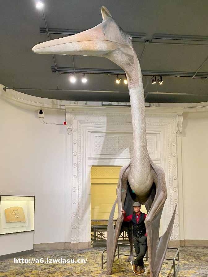 古生物博士后深扒《侏罗纪世界：重生》科学细节，这部电影藏着系列最多恐龙冷知识